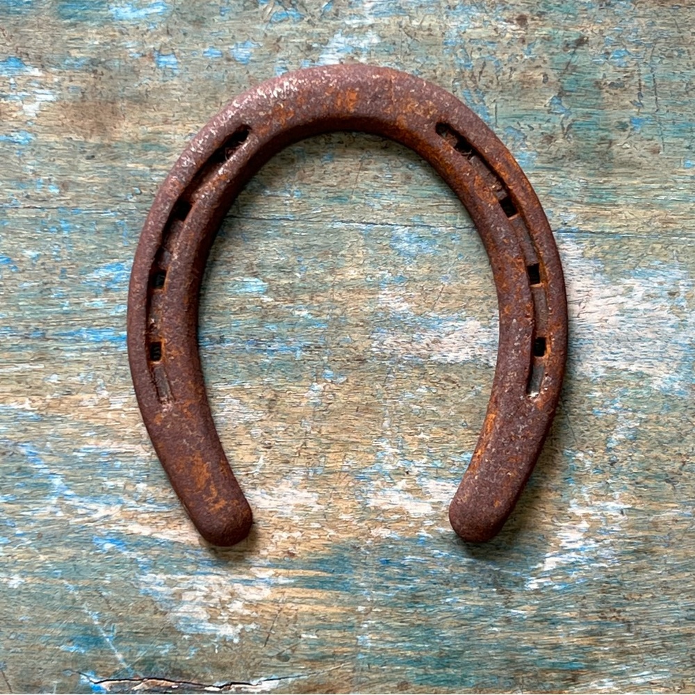 Vtg Rustic Horse Shoe Decor - Picture 5 of 8